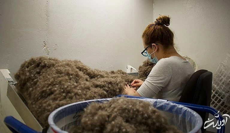 گران‌ترین پر جهان از کجا تهیه می‌شود؟ (+عکس)